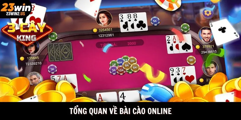 tong-quan-ve-bai-cao-online